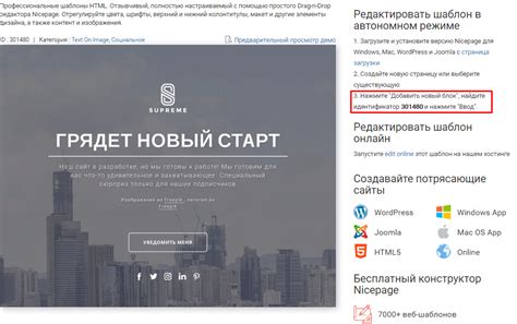 Поиск и выбор шаблона сайта