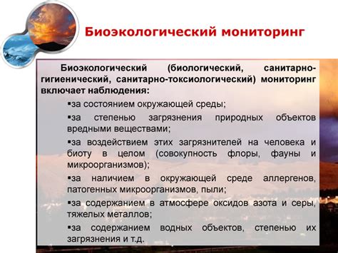 Поиск и исключение возможных аллергенов из окружающей среды