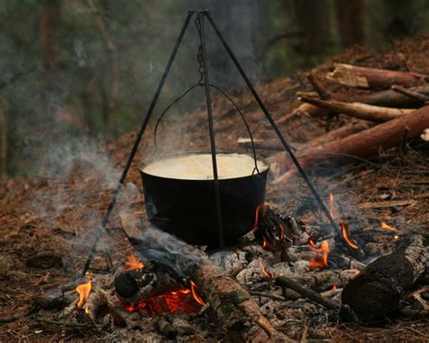 Поиск и обеспечение пищи