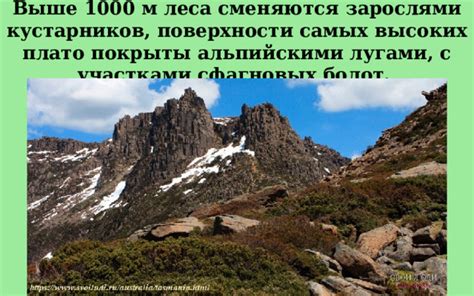 Поиск на высоких плато