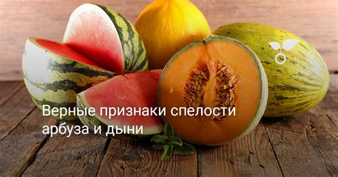 Покупка арбуза: выбор нужной формы и спелости