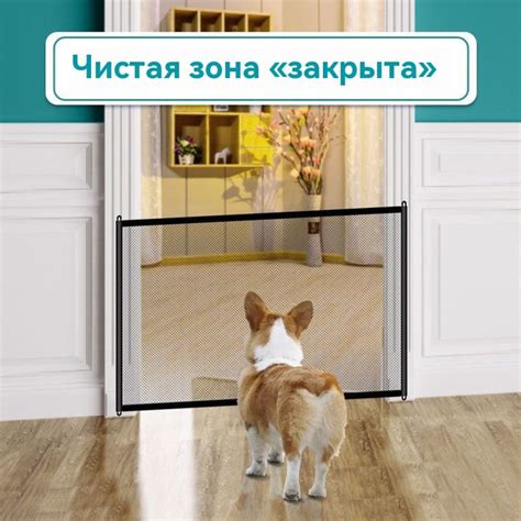 Полевые исследования: забор домашних животных