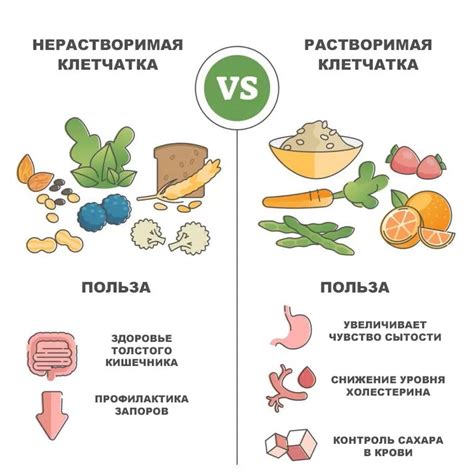 Полезная клетчатка для здорового пищеварения