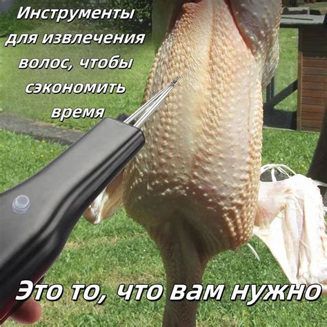 Полезность водоотталкивающих перьев для уток