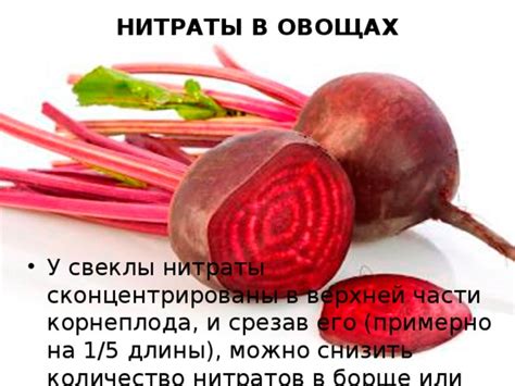 Полезность жира в борще