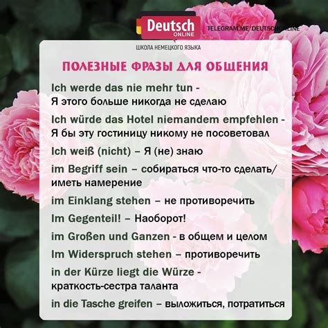 Полезные выражения для общения на тему "шерсть"