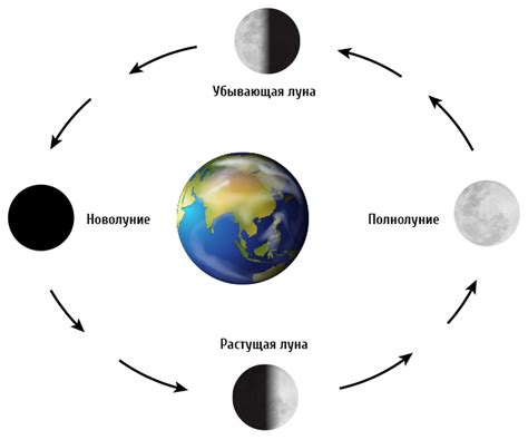 Полезные инструкции для определения луны