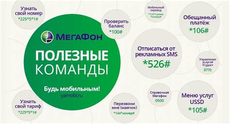 Полезные инструкции для проверки номера Мегафона