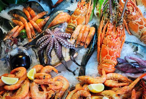 Полезные свойства замороженных морепродуктов