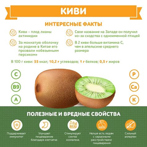 Полезные свойства киви с кожурой