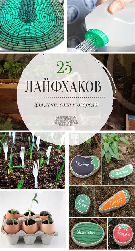 Полезные советы: как избежать дождя в Инадзуме