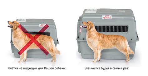 Полезные советы для безопасной телепортации