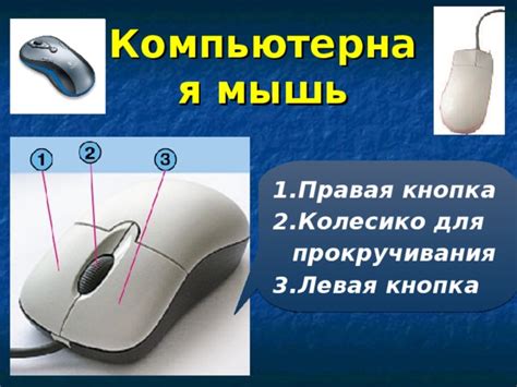 Полезные советы для работы с мышью