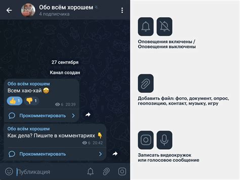 Полезные советы для установления связи с новыми людьми в Телеграме без обмена номерами
