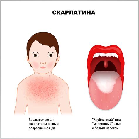 Полезные советы и рекомендации для повышения эффективности
