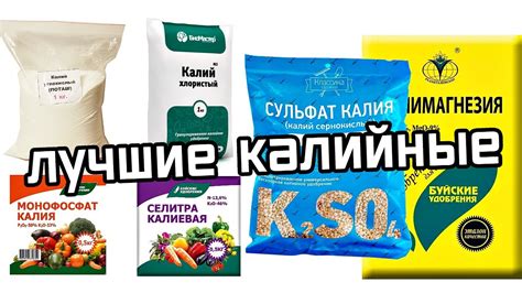Полезные советы и рекомендации по использованию калийных удобрений для яблони