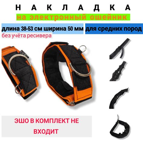Полезные советы по активации эшо ошейника