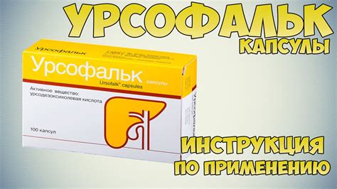 Полезные советы по запиванию Урсофальк водой