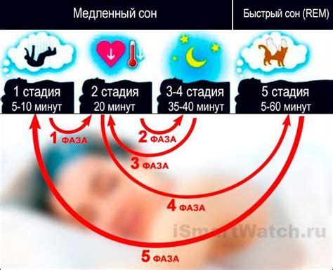 Полезные советы по определению фазы медленного сна