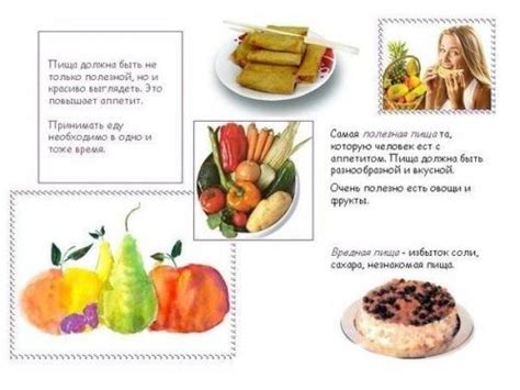 Полезные советы по организации кукольного питания