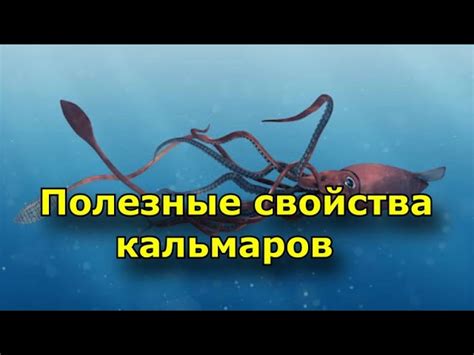Полезные советы по очистке кальмаров