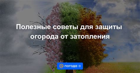 Полезные советы по повышению защиты