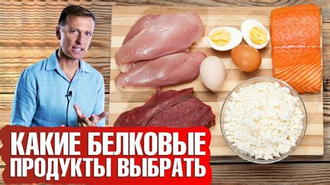 Полезные советы по употреблению белка