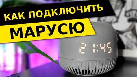 Полезные функции Маруси для звонков