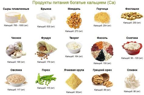 Полезный источник кальция