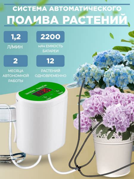 Полив и уход за растениями с дренажной системой