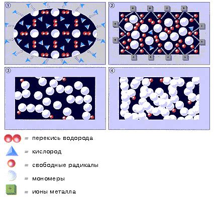 Полимеризация и фиксация соединения