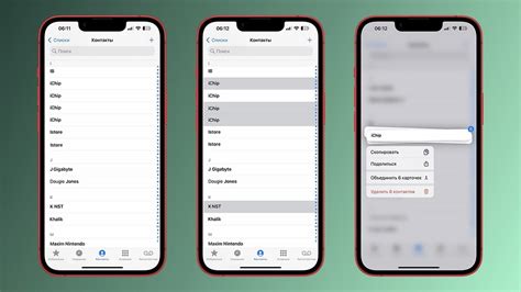 Полный обзор удаления всех контактов с iPhone