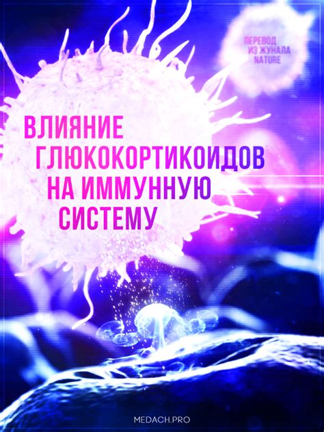 Положительные эффекты папаина на иммунную систему