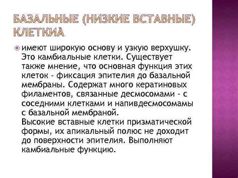 Получаем широкую и устойчивую основу