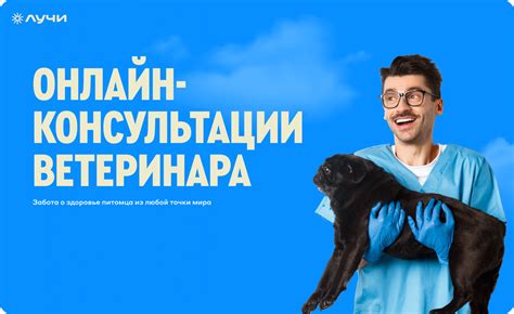 Получение консультации у ветеринара
