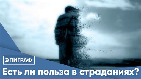 Польза в городском движении