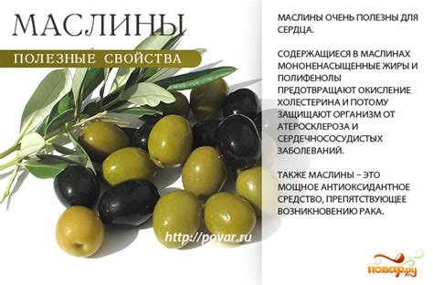 Польза глотания косточки маслины