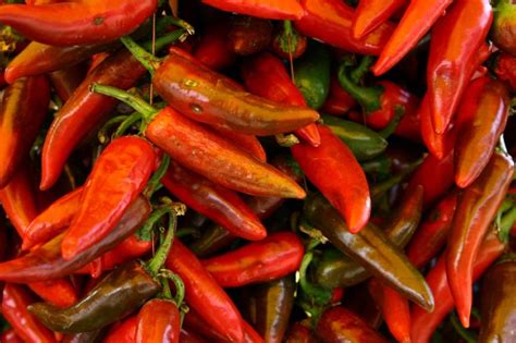 Польза горького перца для здоровья и кулинарии