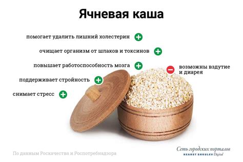 Польза и вред нимесила для здоровья