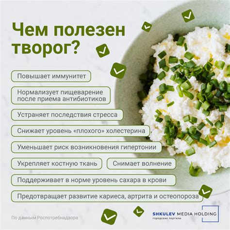 Польза и питательные свойства домашнего творога