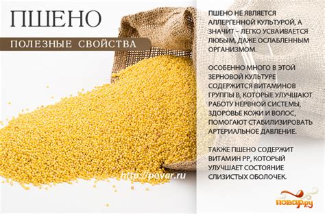 Польза каши из пшена на молоке для организма