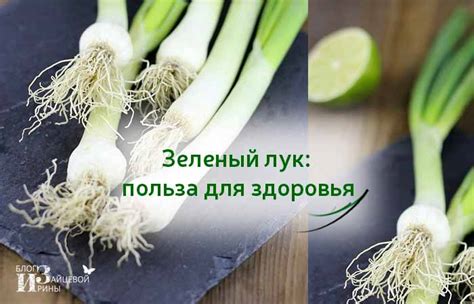 Польза лука для здоровья