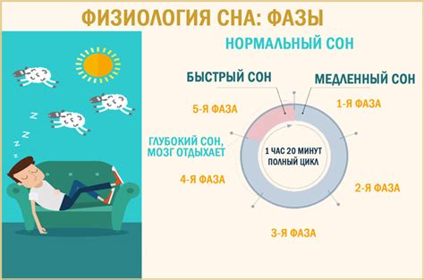 Польза осознанных сновидений для определения фазы сна