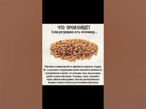 Польза регулярного влажного убора