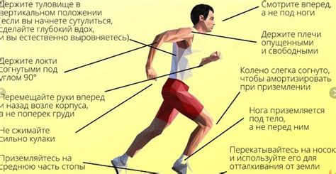 Польза совмещения бодибилдинга и бега: достигай идеальной формы