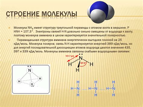 Полюсные и неполюсные молекулы