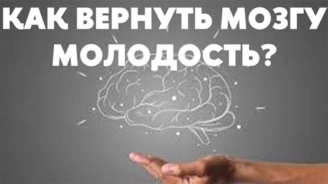 Помогите своему мозгу лучше работать