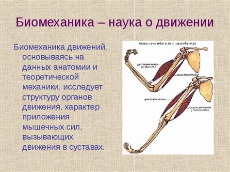 Понимание анатомии и механики произношения