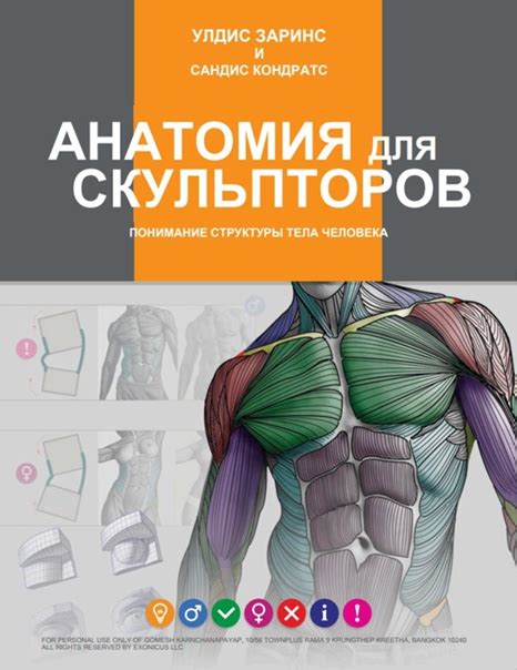 Понимание анатомии тела