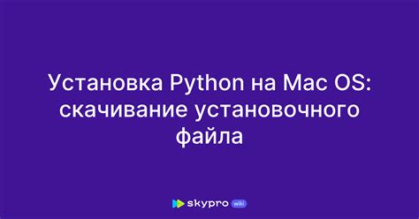 Понимание Python на Mac OS